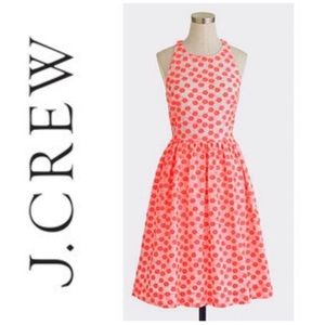 J.Crew Pink Embroidered Floral Dress 6